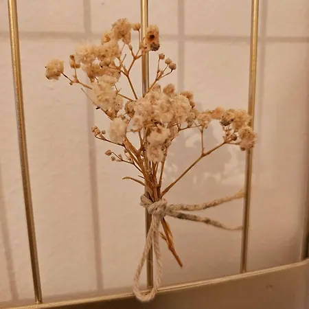 Boho Boutique Apartment Graz