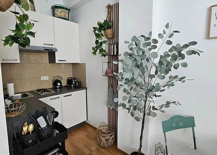 Boho Boutique Apartment